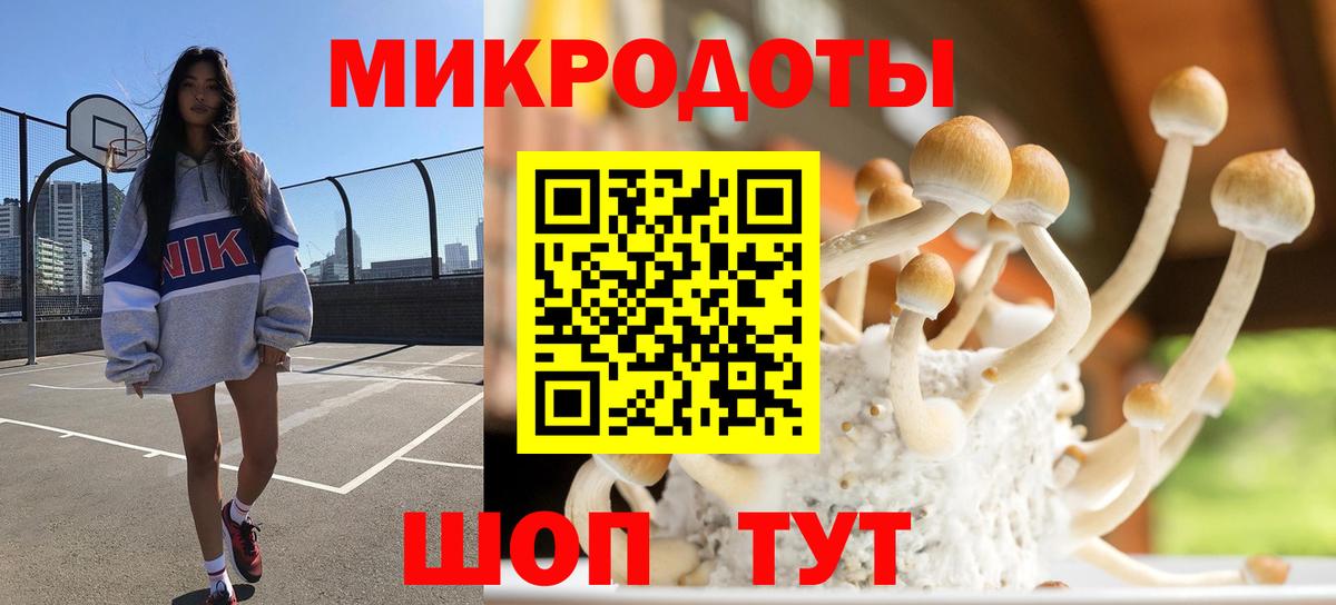 Псилоцибиновые грибы Cubensis  Вход с VPN  Галлюциногенные грибы мицелий  Сафоново 