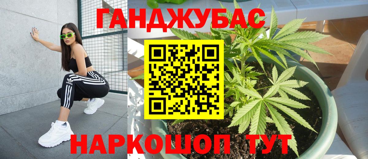 Шишки марихуана марихуана Сафоново